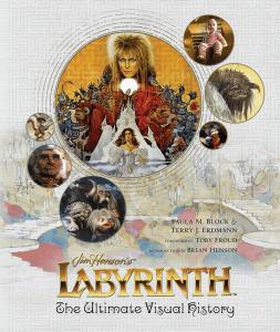 Labyrinth book cover
